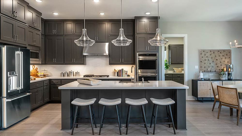 1517 Novara Trail Leander, TX 78641 - Photo 5 of 40 Representative Photo