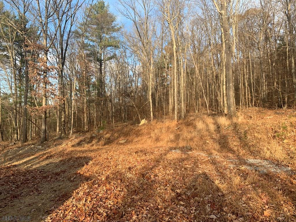 Lot I Clear Ridge Road Clearville, PA 15535 - Photo 8 of 24