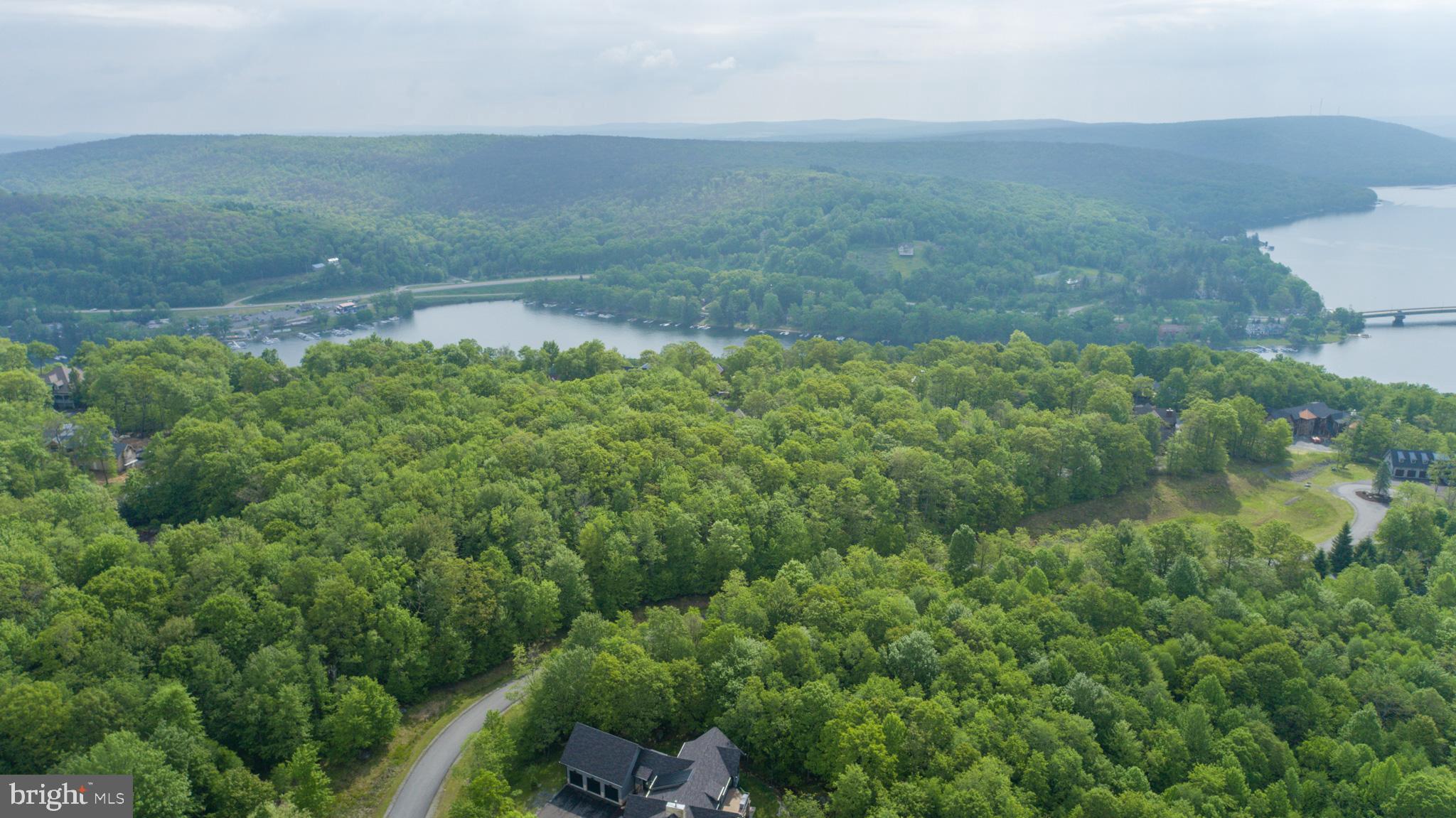 Lot 47 Mountaintop Road McHenry, MD 21541 - Photo 11 of 26 a view of a lush green forest with lots of trees