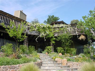 100 Oak Ridge Road San Rafael, CA 94903 - Photo 1 of 6 a view of a garden