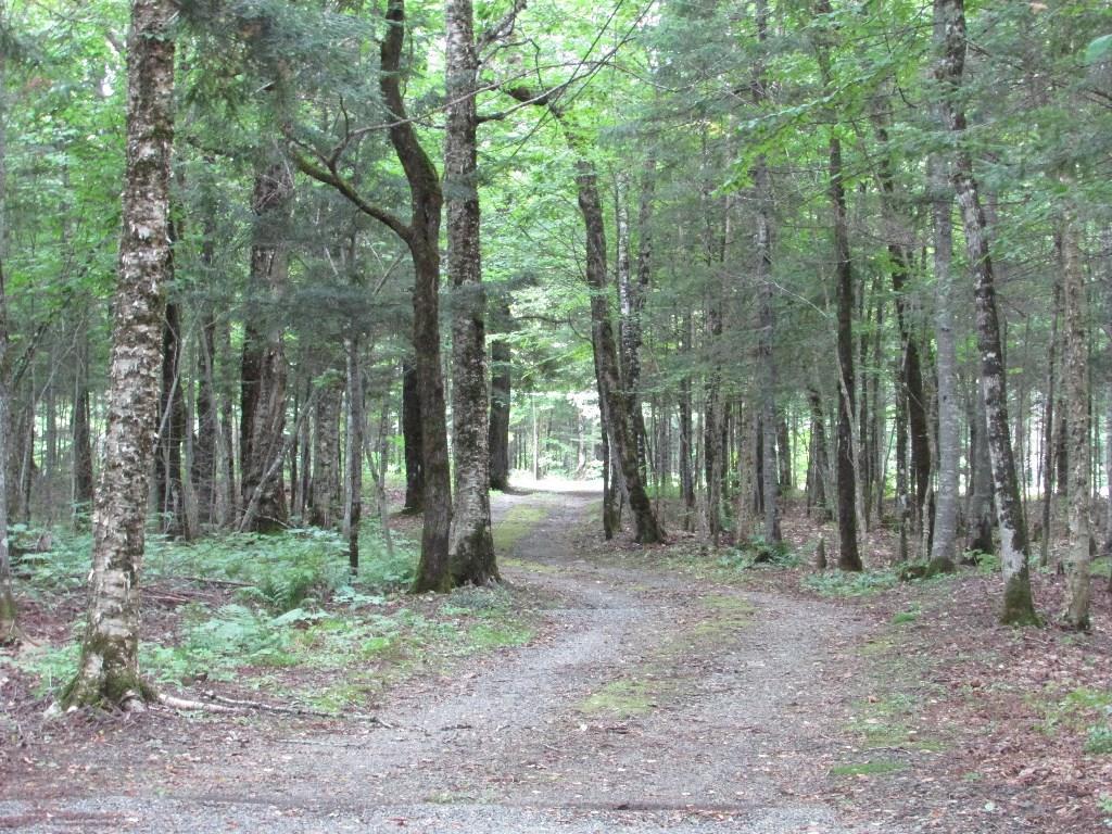 300 W Road Portage Lake, ME 04768 - Photo 19 of 19 Photo