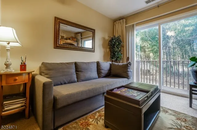 a living room with furniture and a gate