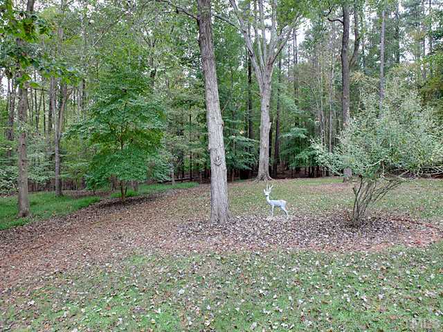 445 Swans Mill Crossing Raleigh, NC 27614 - Photo 15 of 17 This deer is a statue, but you will see much wildlife in your private, flat back yard with all hardwood trees!