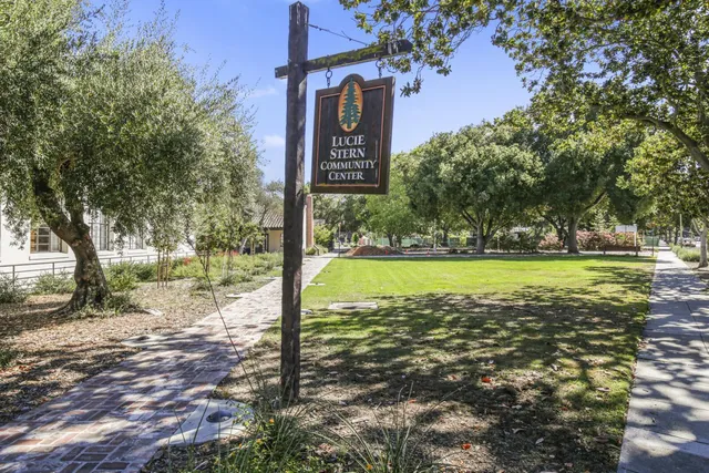 a view of a yard with plants and a tree