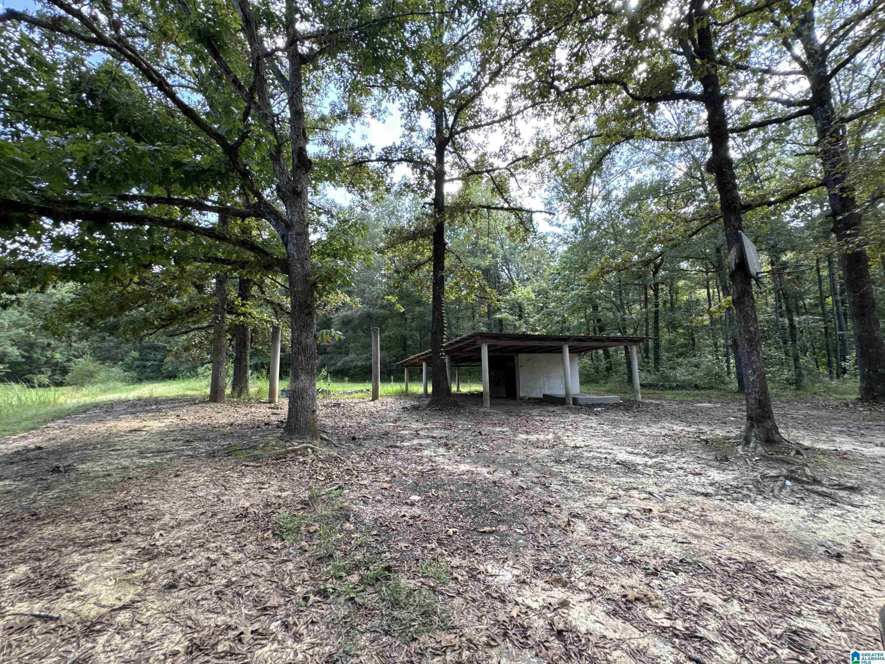 20394 County Road 55 Sterrett, AL 35147 - Photo 11 of 43