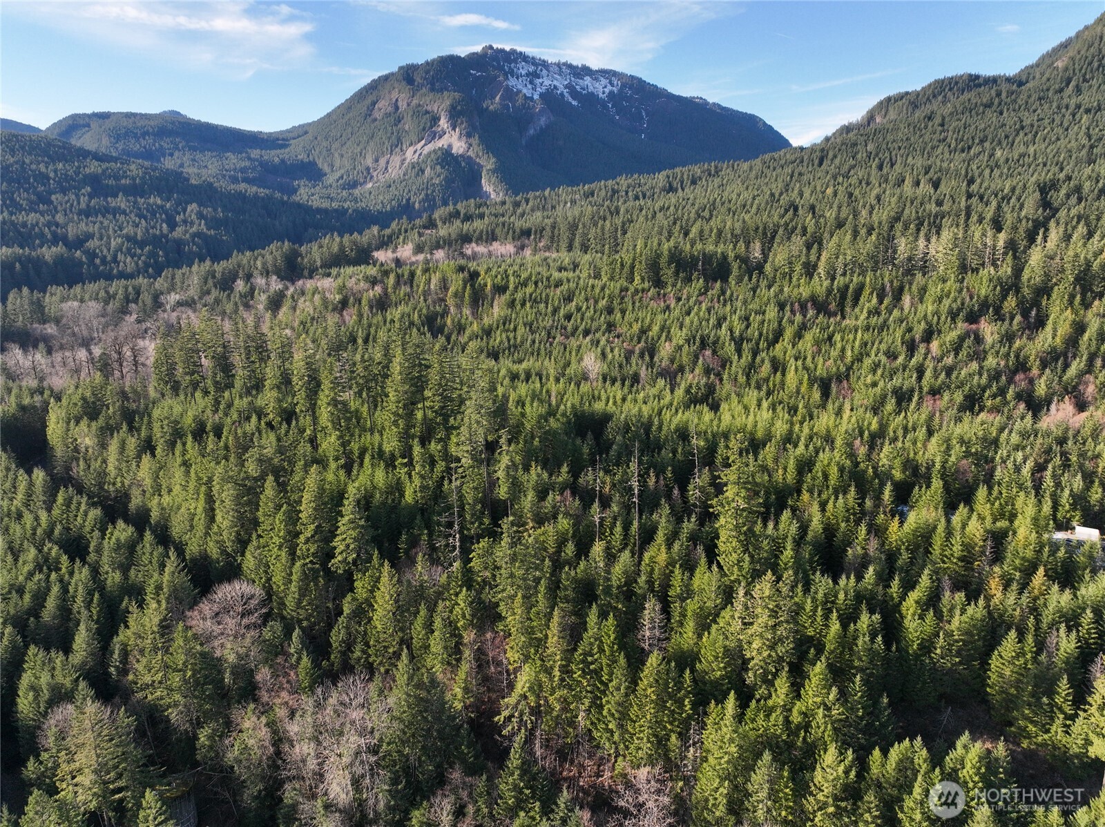 0 Skate Creek Road South Packwood, WA 98361 - Photo 11 of 14