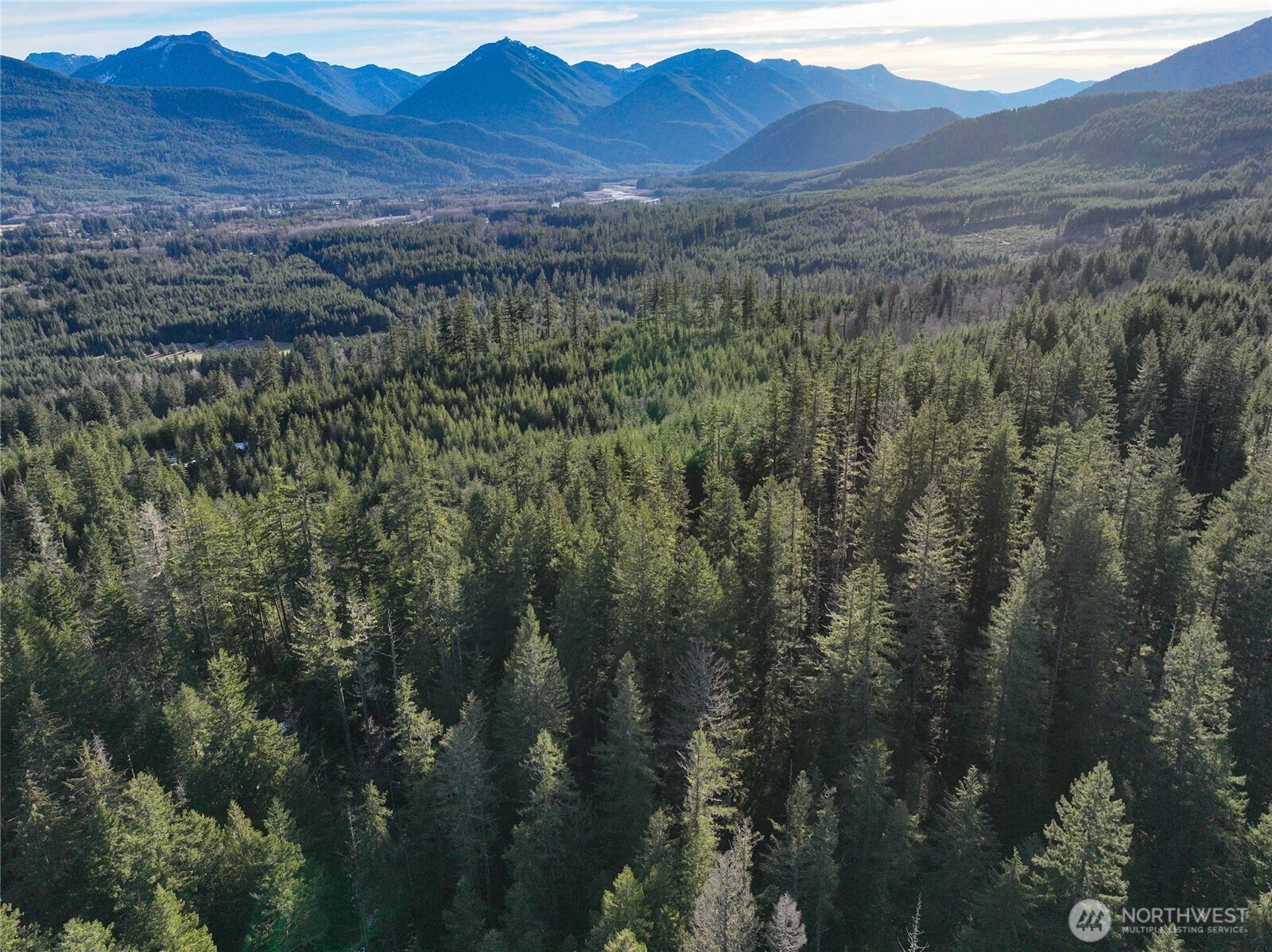 0 Skate Creek Road South Packwood, WA 98361 - Photo 13 of 14