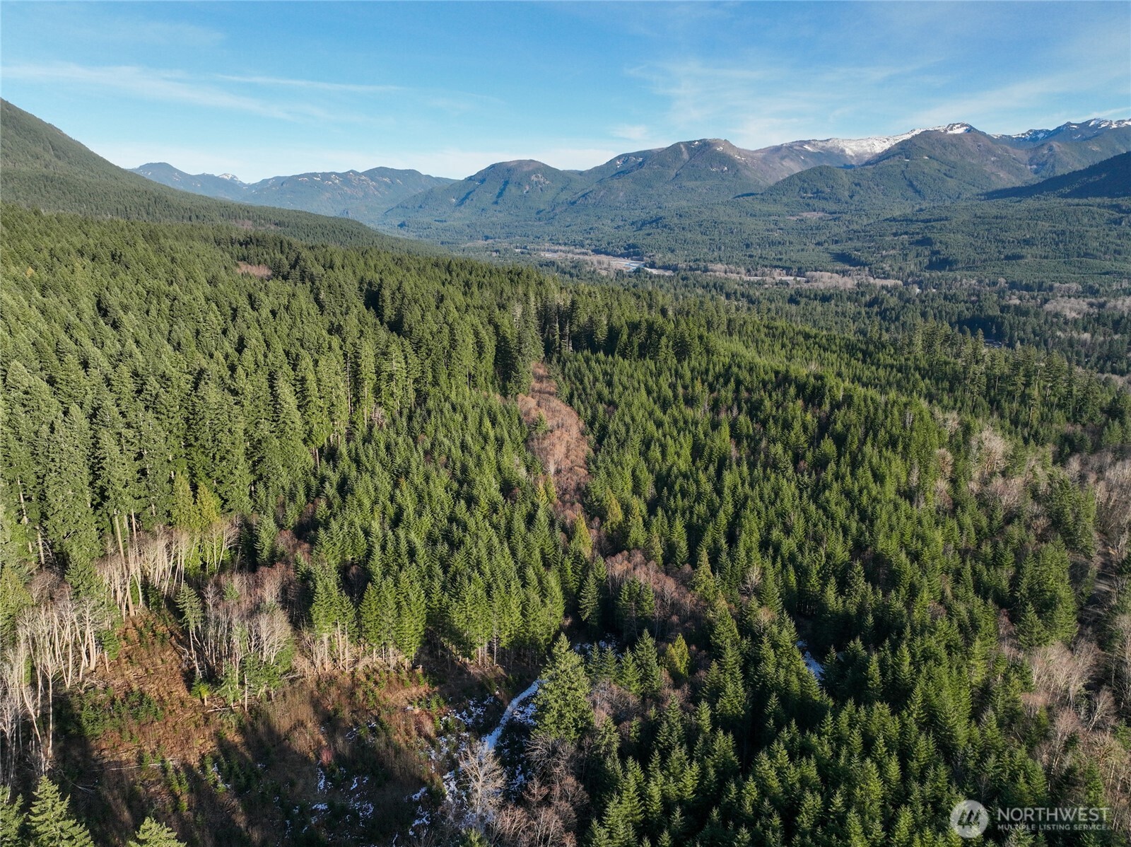 0 Skate Creek Road South Packwood, WA 98361 - Photo 14 of 14