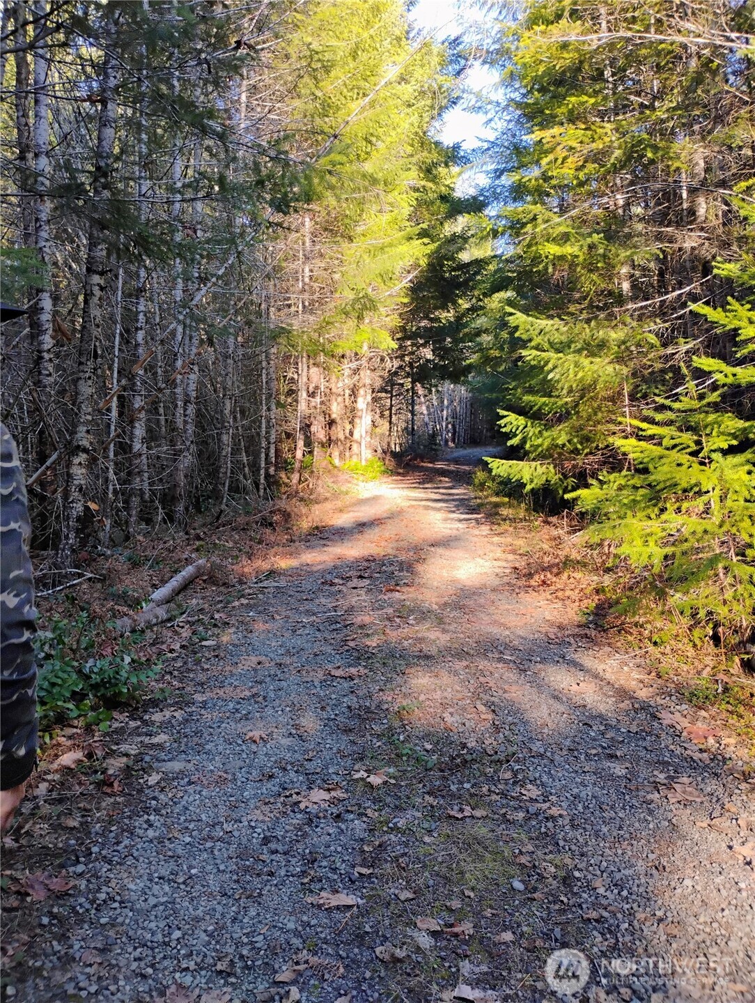 0 Skate Creek Road South Packwood, WA 98361 - Photo 2 of 14