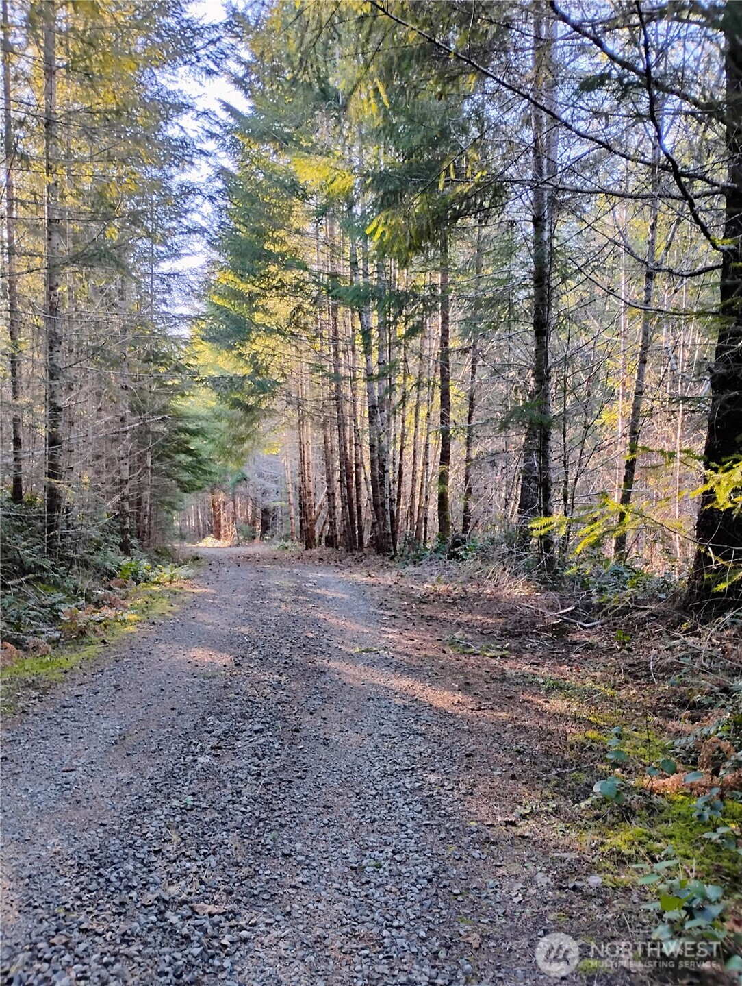 0 Skate Creek Road South Packwood, WA 98361 - Photo 3 of 14