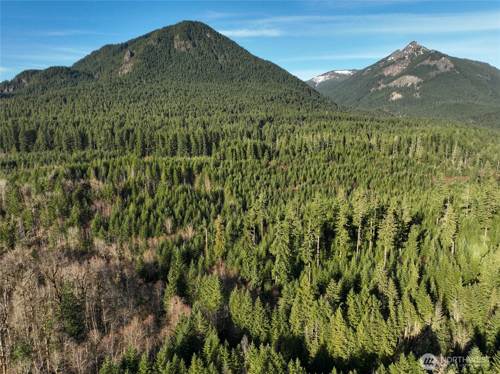 0 Skate Creek Road South Packwood, WA 98361 - Photo 8 of 14