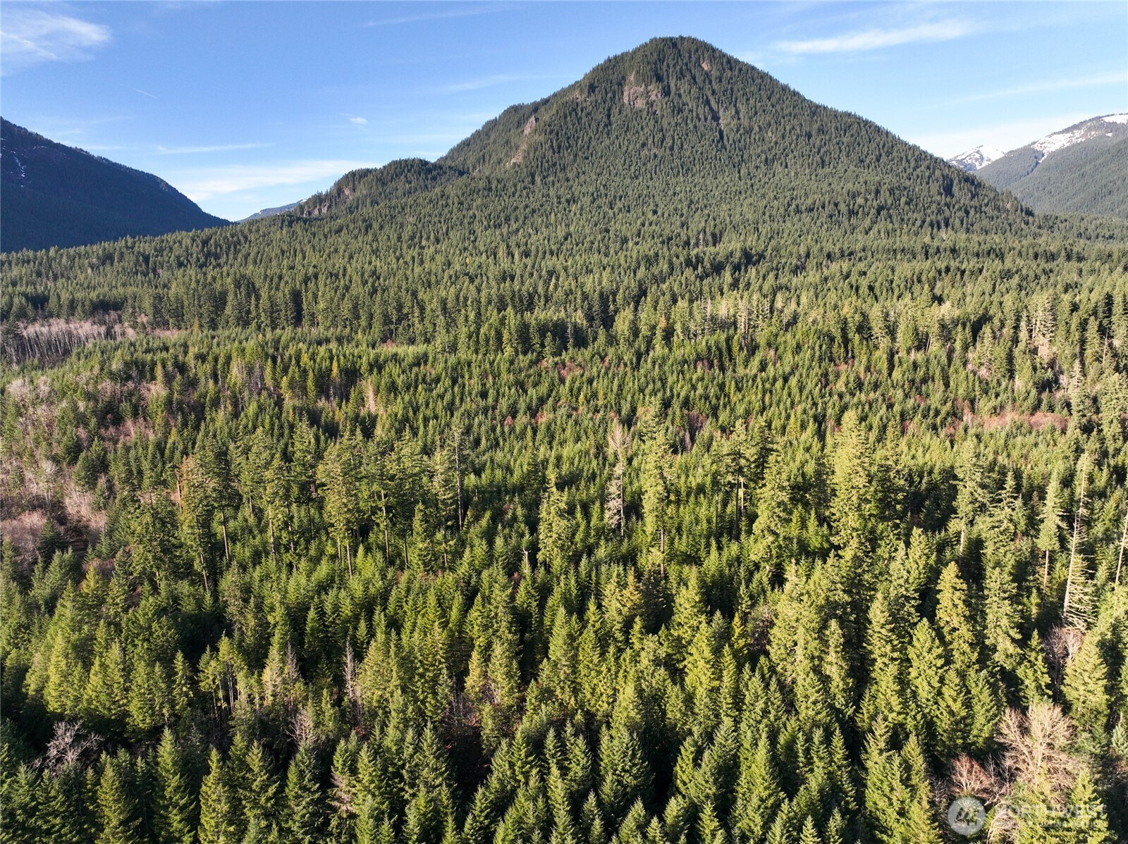 0 Skate Creek Road South Packwood, WA 98361 - Photo 9 of 14