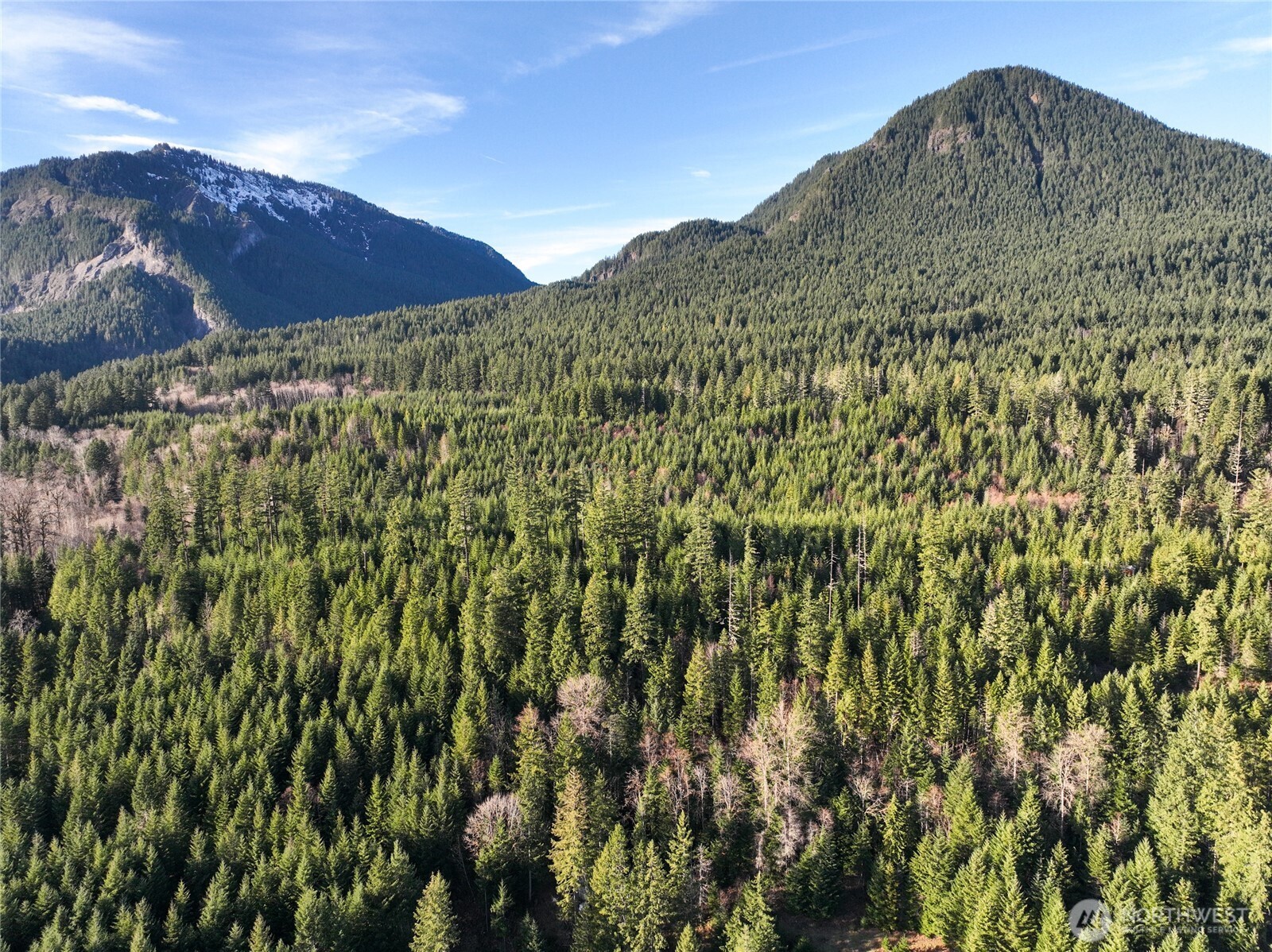 0 Skate Creek Road South Packwood, WA 98361 - Photo 10 of 14