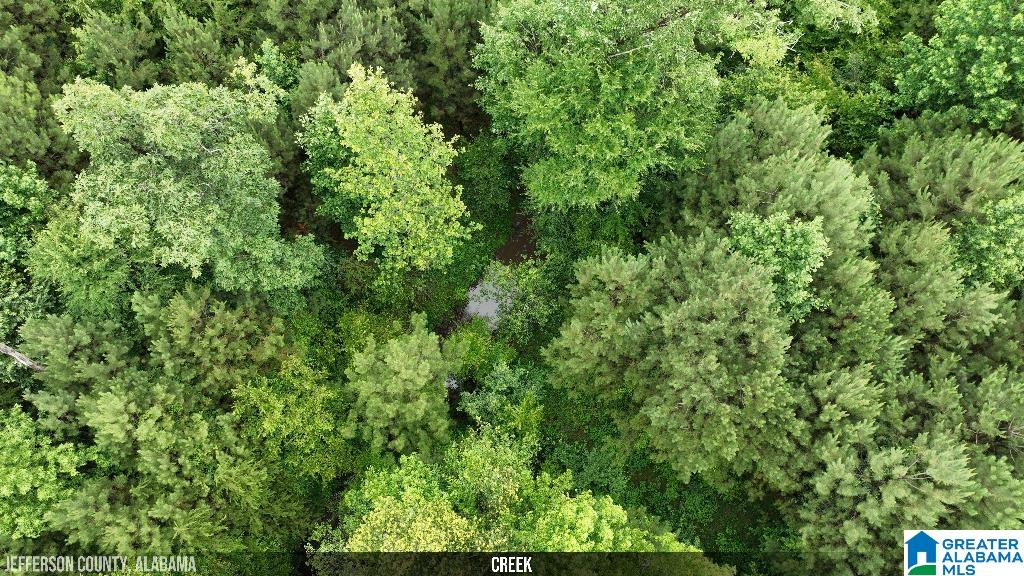 9289 Johns Road Brookwood, AL 35444 - Photo 34 of 38