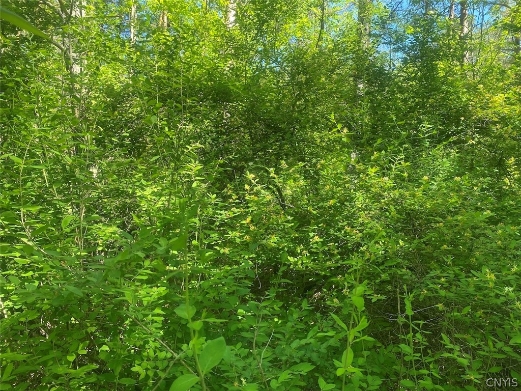 Townline Road Angelica, NY 14709 - Photo 10 of 13