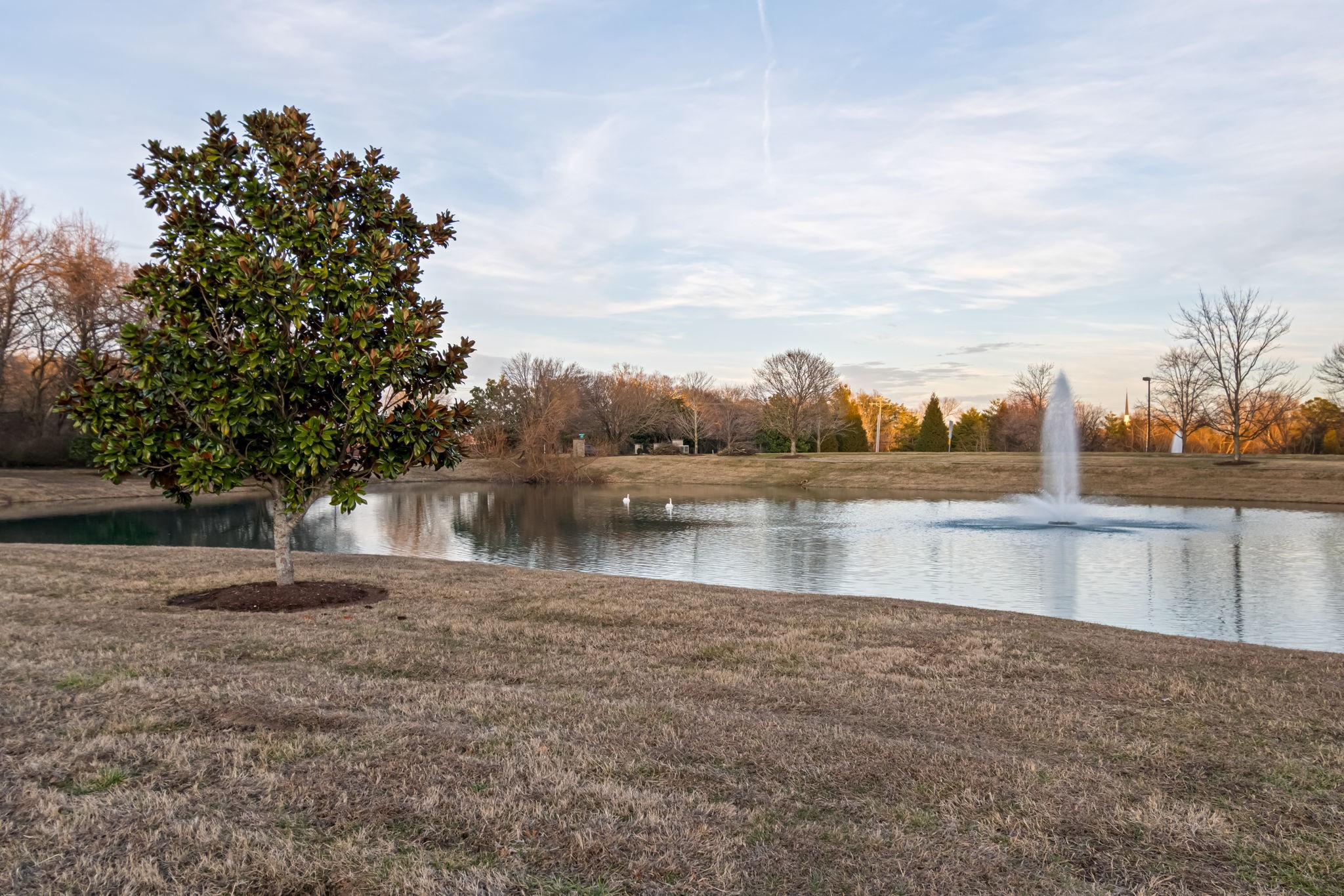3160 Vera Valley Road Franklin, TN 37064 - Photo 62 of 63 Gallery Image 62
