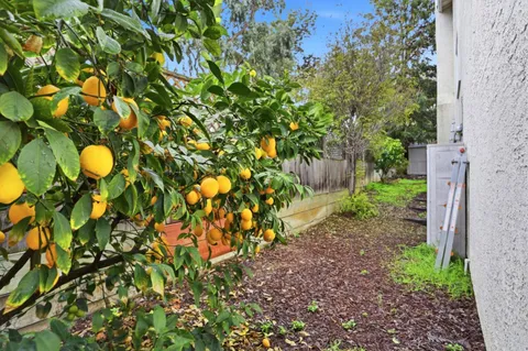 $1,749,000 | 3572 Sunnydays Lane, Santa Clara, CA 95051