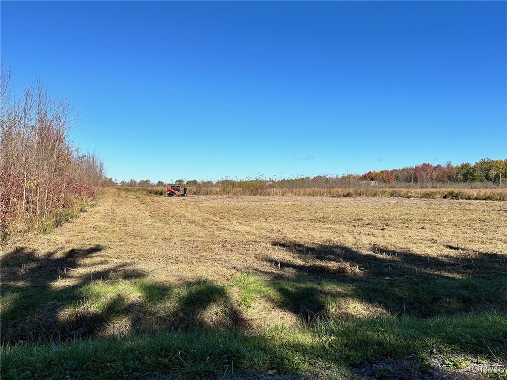 Lot#4 Hitchcock Point Road Bridgeport, NY 13030 - Photo 14 of 23