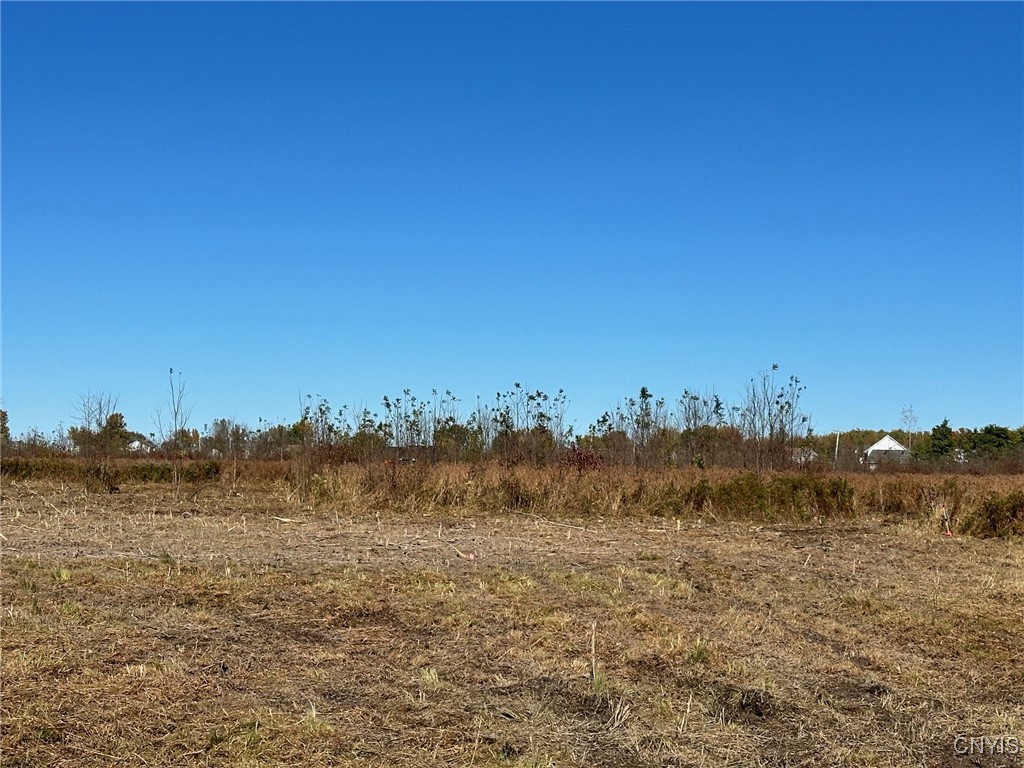 Lot#4 Hitchcock Point Road Bridgeport, NY 13030 - Photo 15 of 23