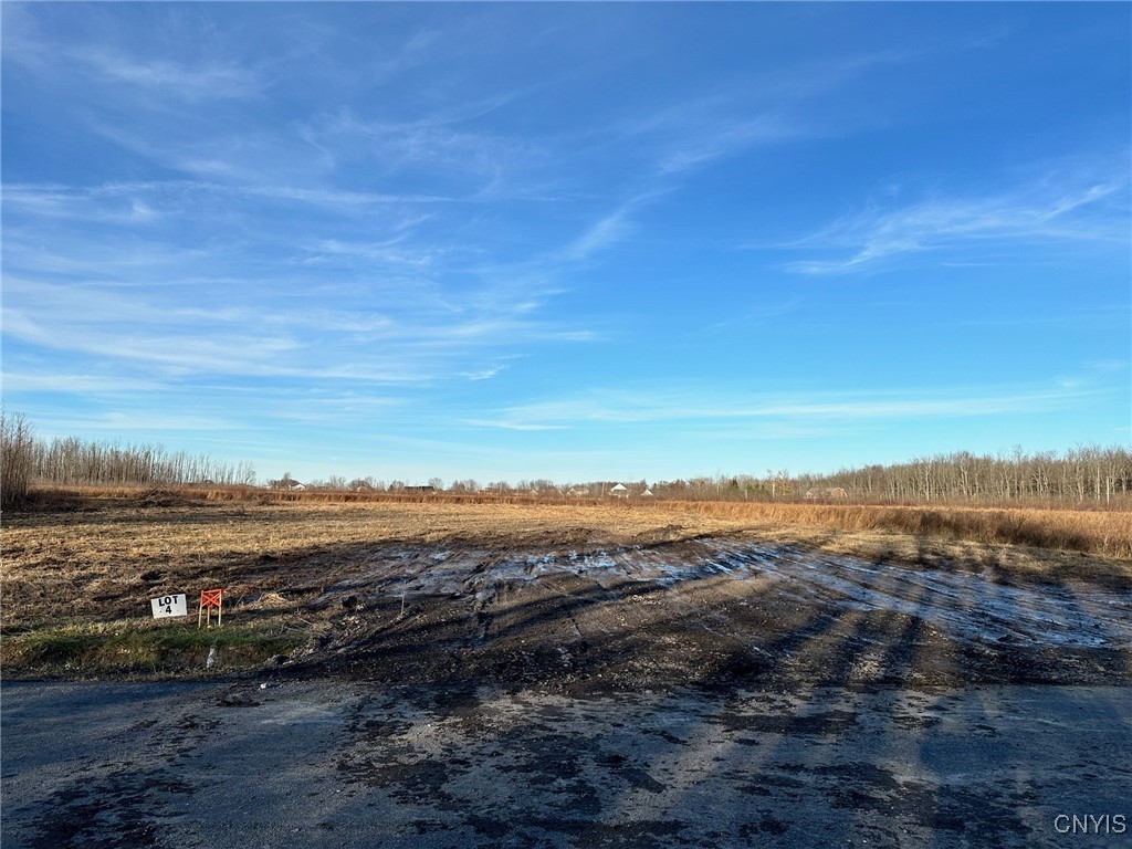 Lot#4 Hitchcock Point Road Bridgeport, NY 13030 - Photo 16 of 23