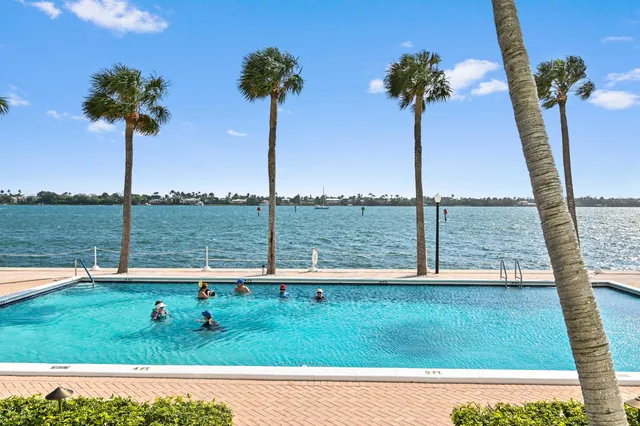 a view of a garden with a tree