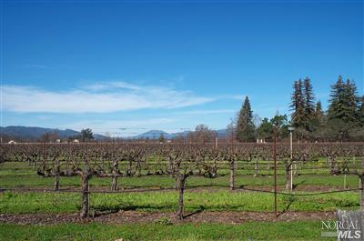 1090 Rutherford Road Rutherford, CA 94558 - Photo 2 of 10 a view of a grassy field with trees in the background