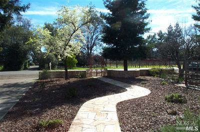 1090 Rutherford Road Rutherford, CA 94558 - Photo 8 of 10 a view of a park with large trees