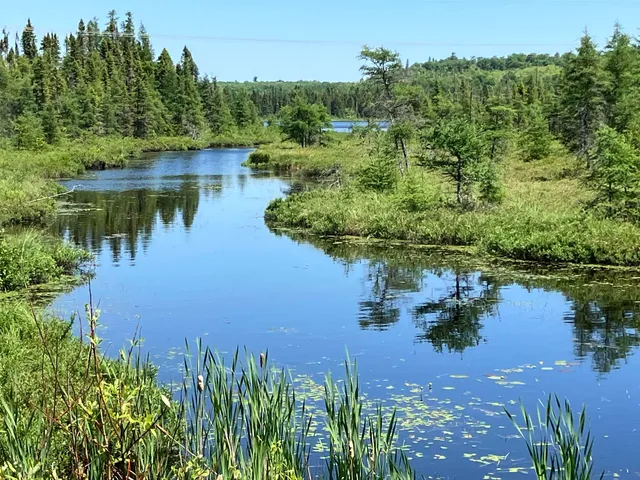 $129,000 | Tbd Little Marais Road, Finland, MN 55603