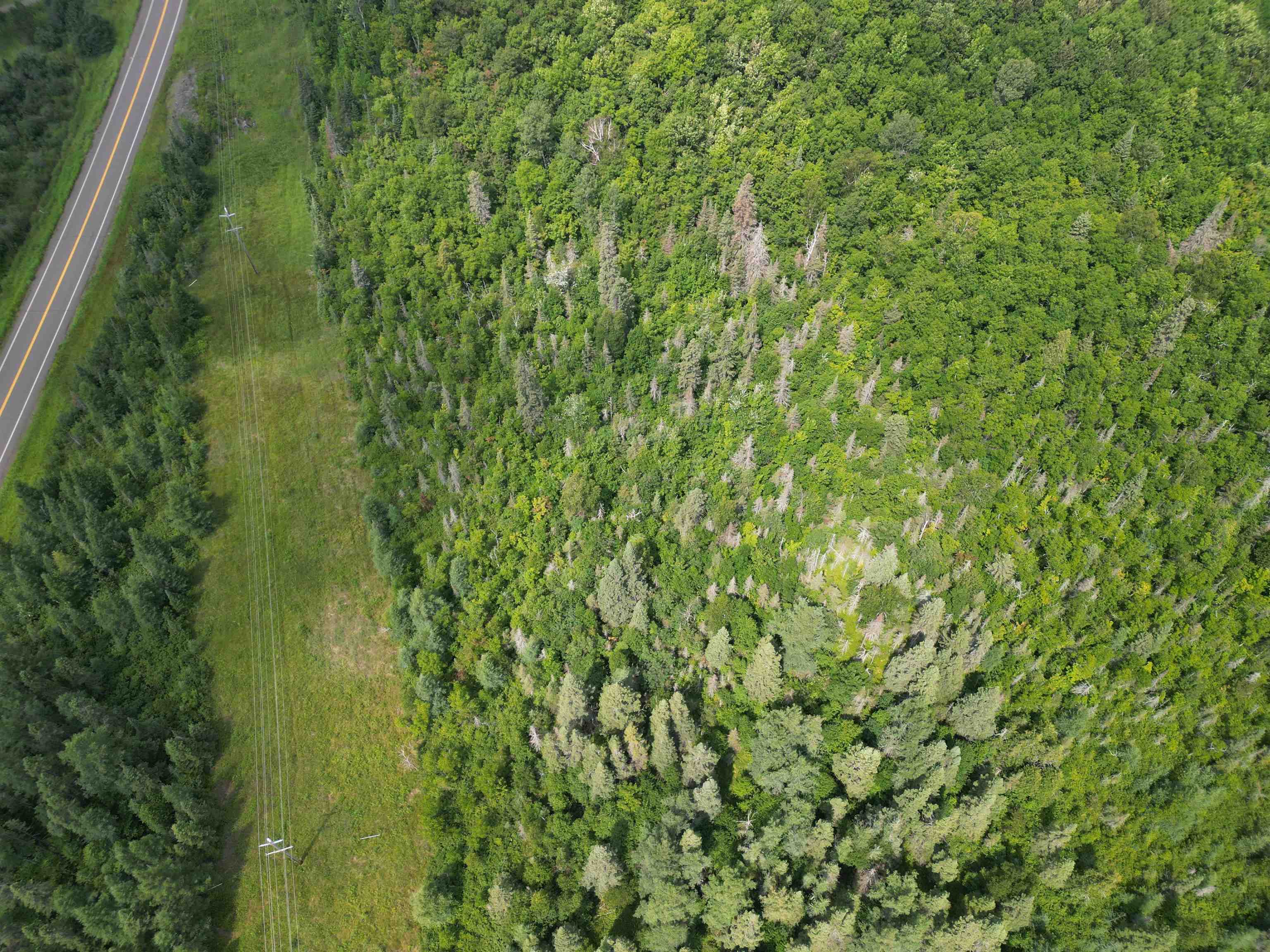 Tbd Little Marais Road Finland, MN 55603 - Photo 13 of 25