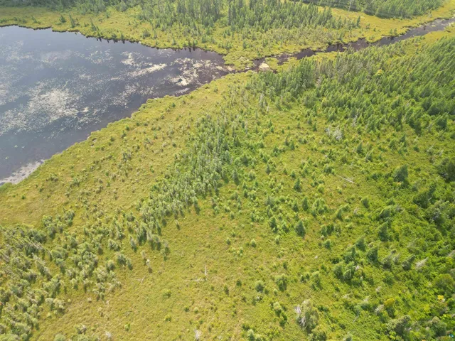 $129,000 | Tbd Little Marais Road, Finland, MN 55603