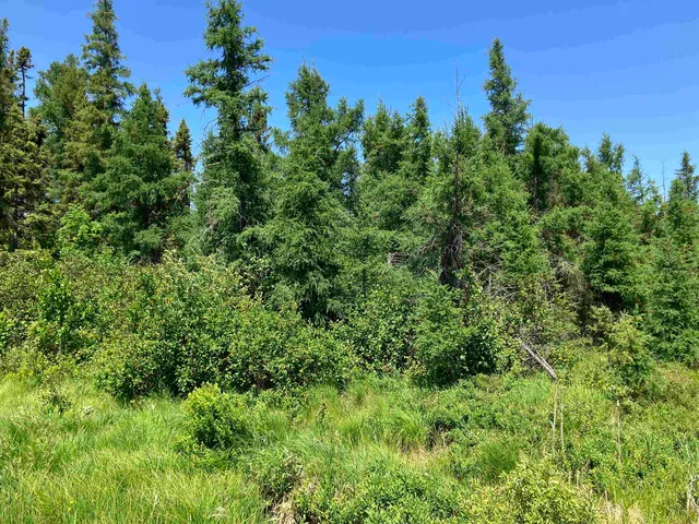$129,000 | Tbd Little Marais Road, Finland, MN 55603