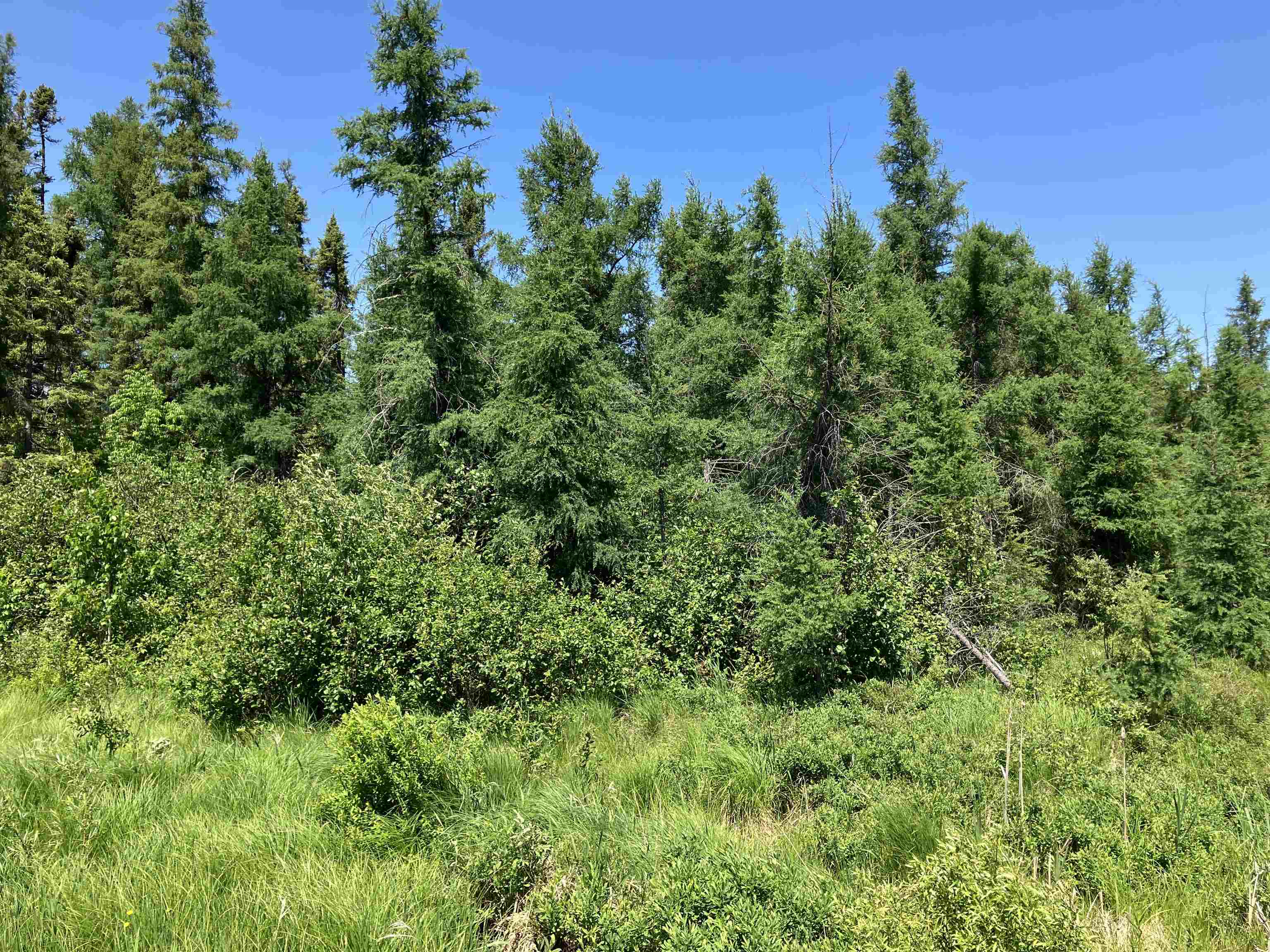 Tbd Little Marais Road Finland, MN 55603 - Photo 22 of 25