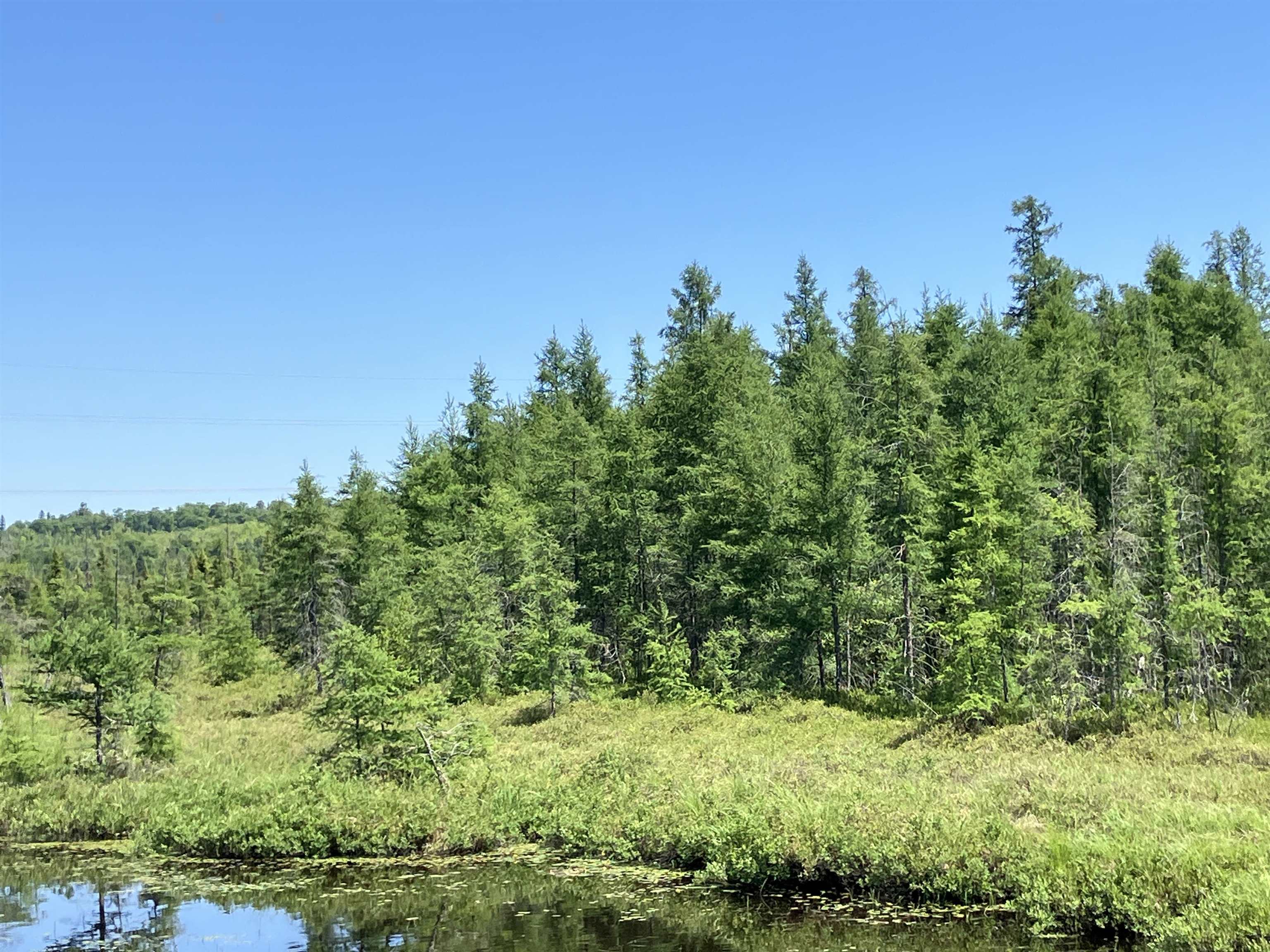 Tbd Little Marais Road Finland, MN 55603 - Photo 24 of 25