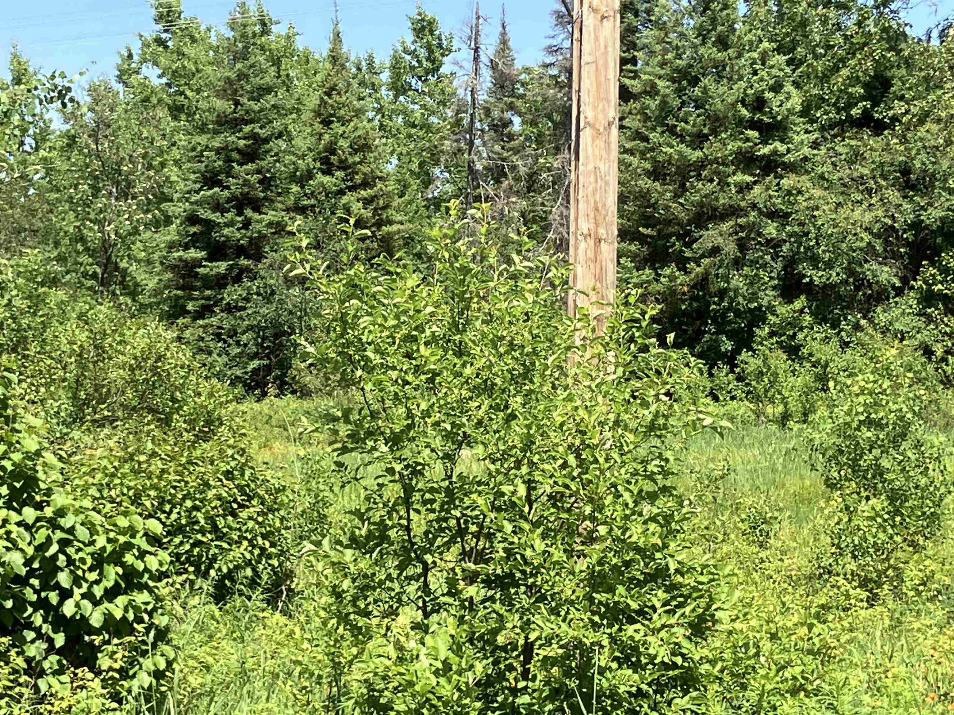 Tbd Little Marais Road Finland, MN 55603 - Photo 25 of 25