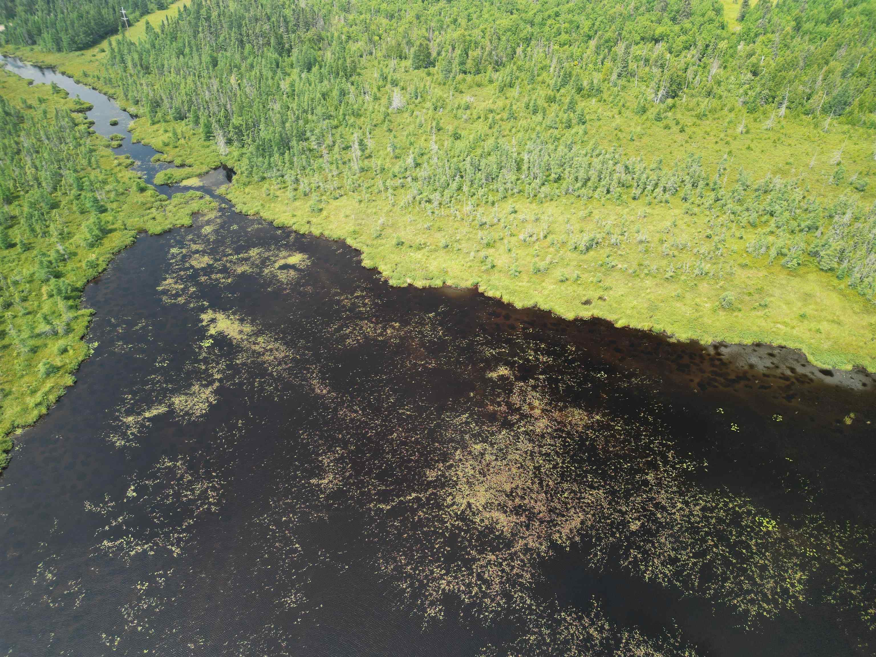 Tbd Little Marais Road Finland, MN 55603 - Photo 8 of 25