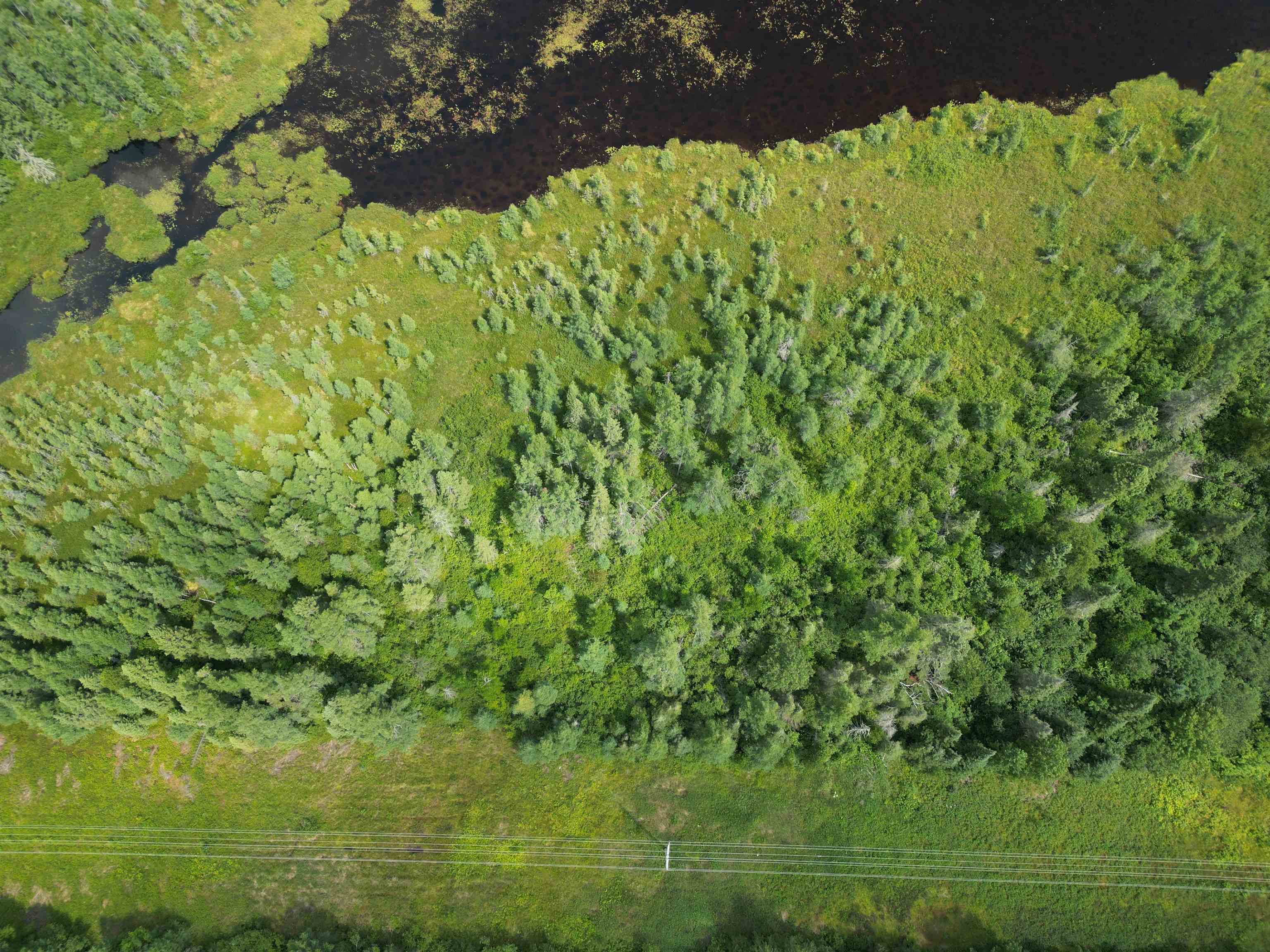 Tbd Little Marais Road Finland, MN 55603 - Photo 9 of 25