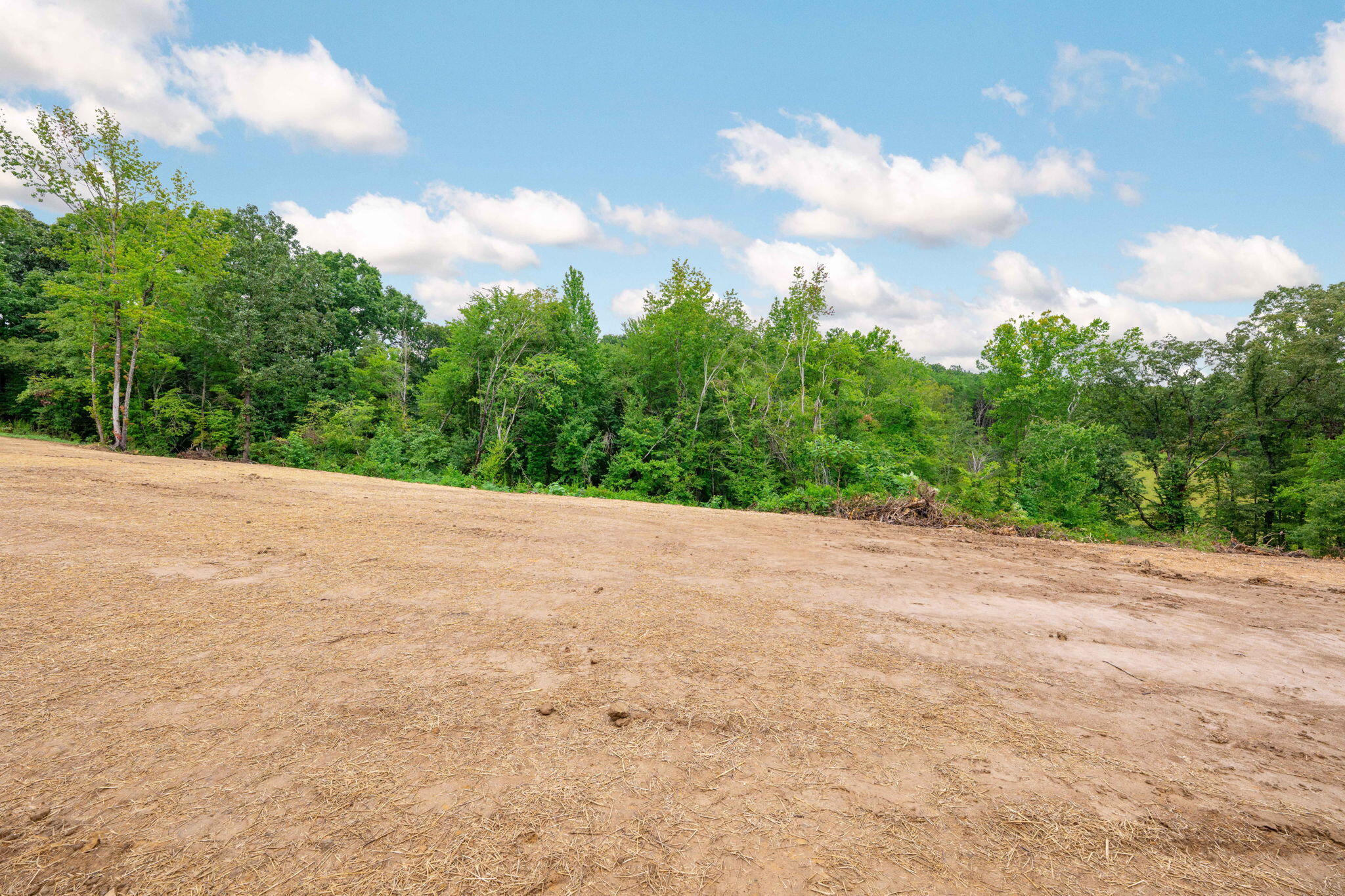 1425 Shady Lane Road Dayton, TN 37321 - Photo 27 of 27 33-web-or-mls-DSC_3073