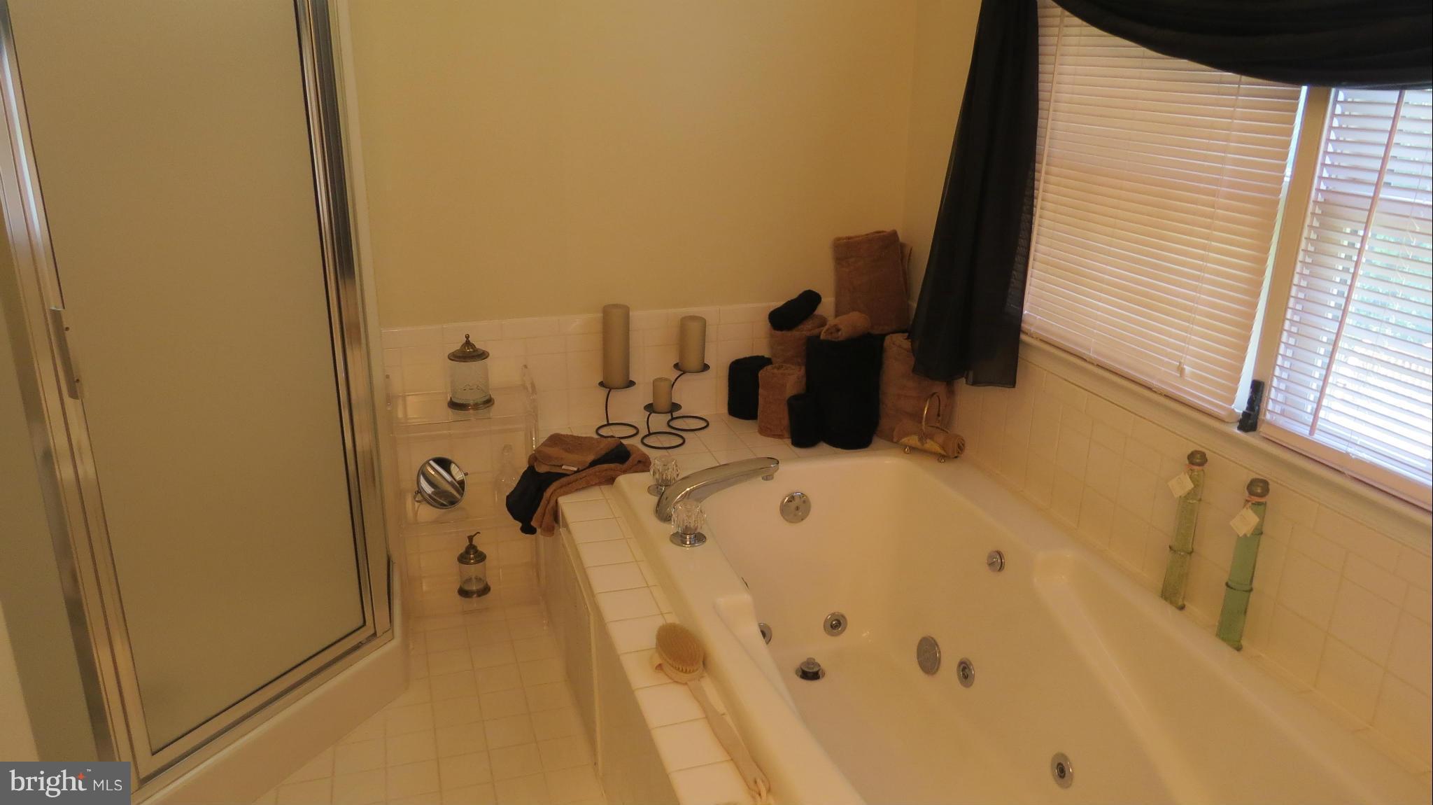 2095 Plum Point Road Huntingtown, MD 20639 - Photo 11 of 26 Bath (Master)