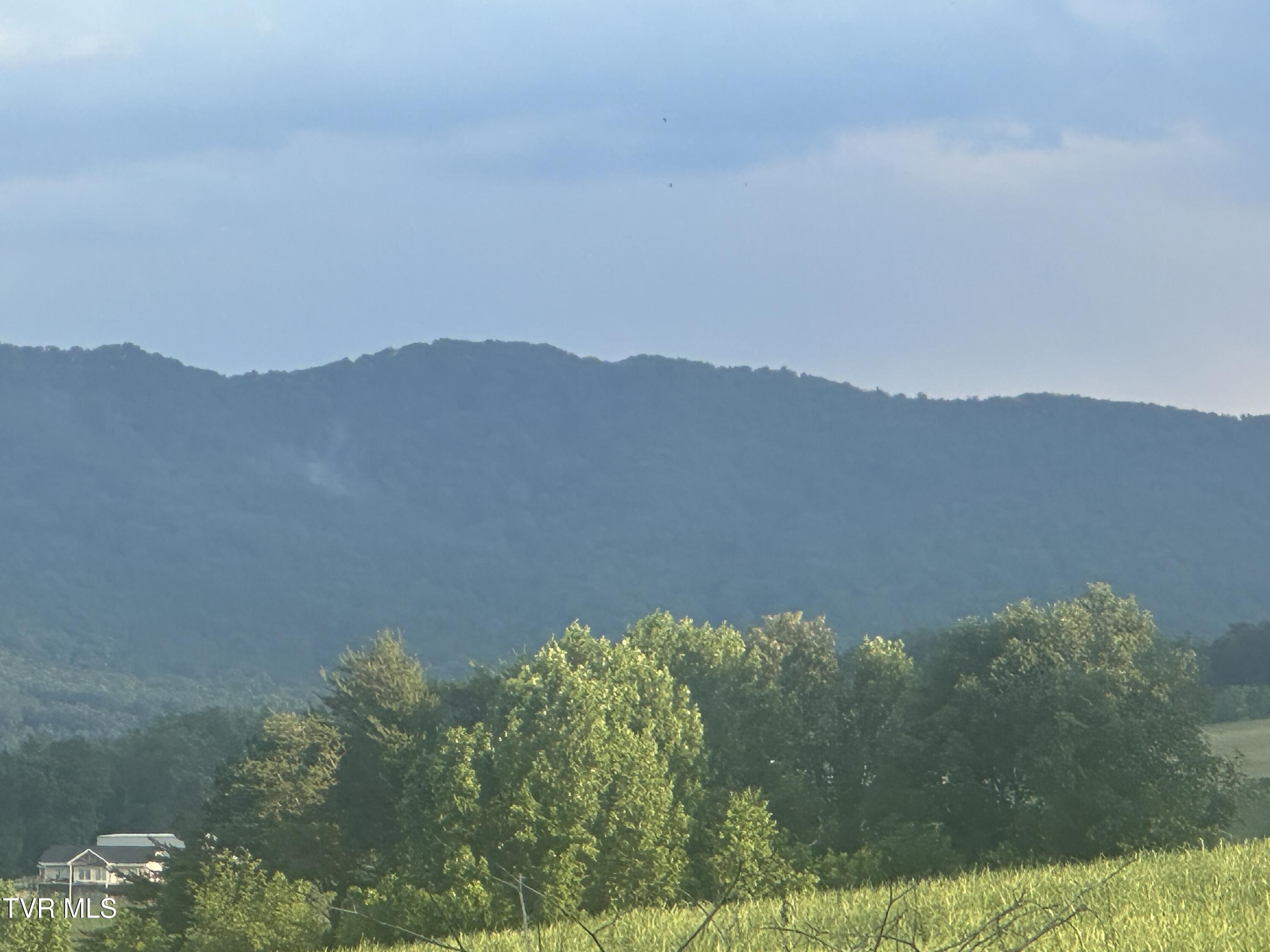 1070 Nolichuckey Road Greeneville, TN 37743 - Photo 64 of 66 IMG_4786