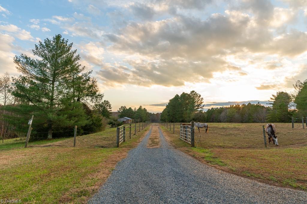4083 Waynick Meadow Road Asheboro, NC 27205 - Photo 38 of 50 Gallery Image 38