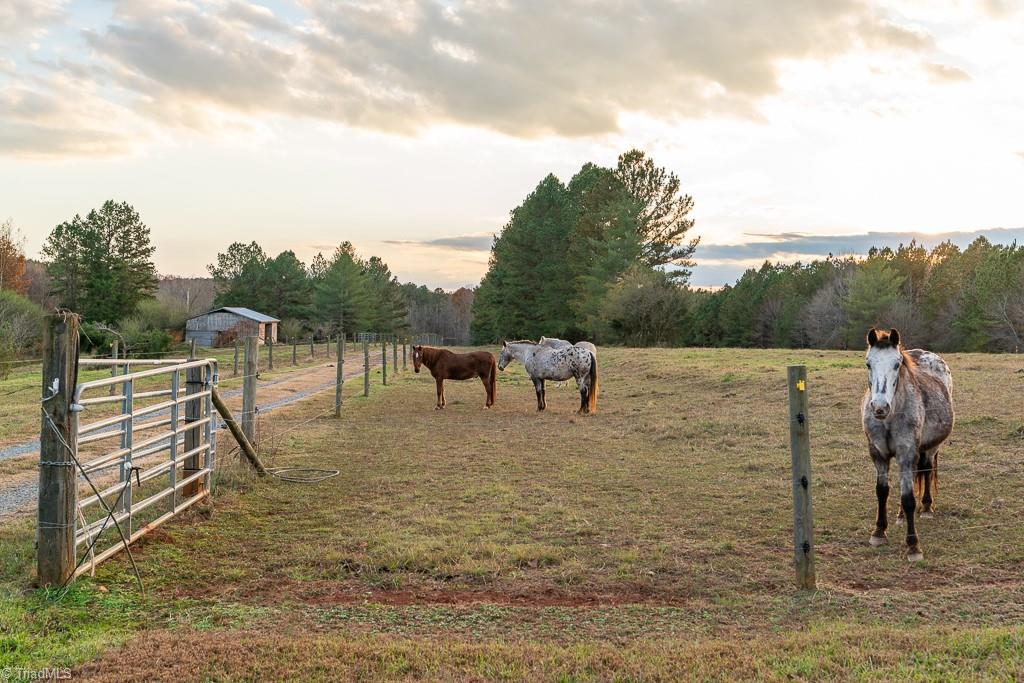 4083 Waynick Meadow Road Asheboro, NC 27205 - Photo 39 of 50 Gallery Image 39