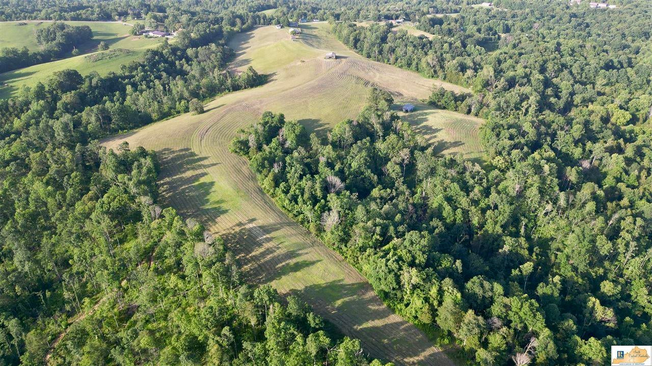 2417 Weed-Keltner Road Edmonton, KY 42129 - Photo 85 of 93 Gallery Image 85