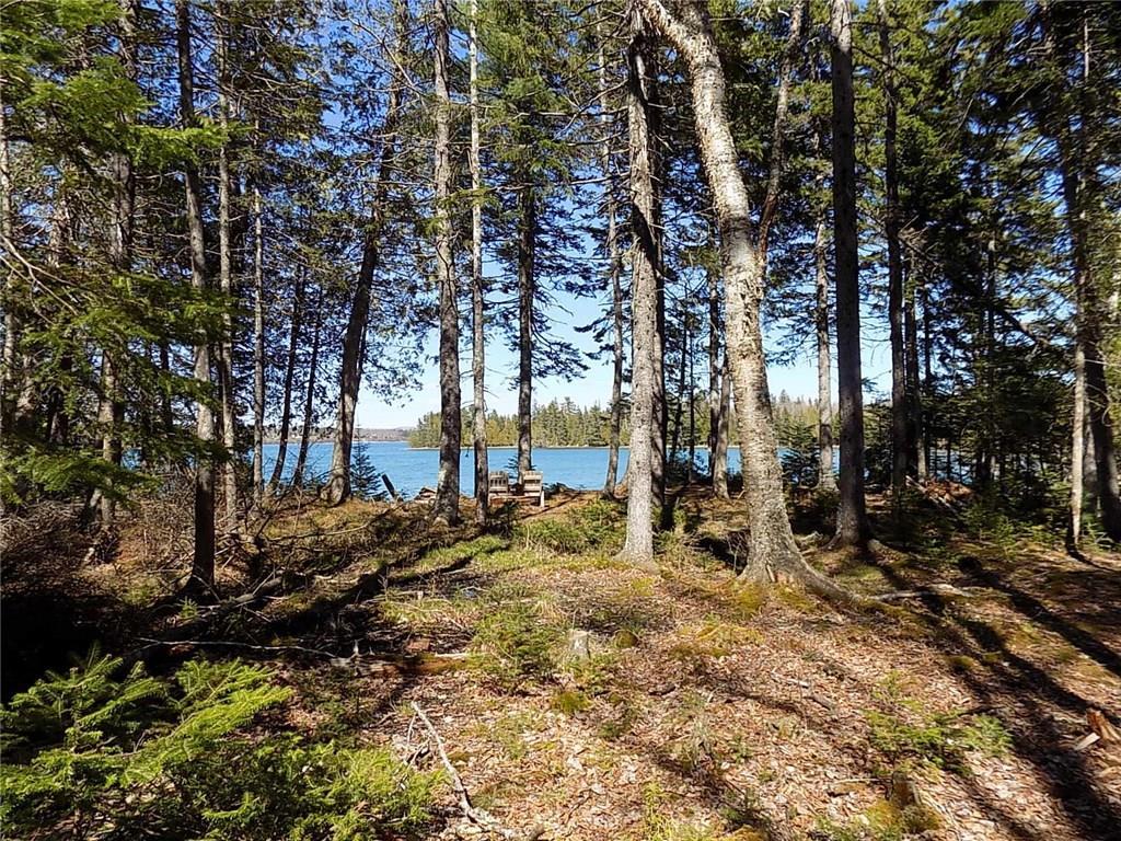 83 N Road Lamoine, ME 04605 - Photo 16 of 18 Welcome to your "Happy Place"