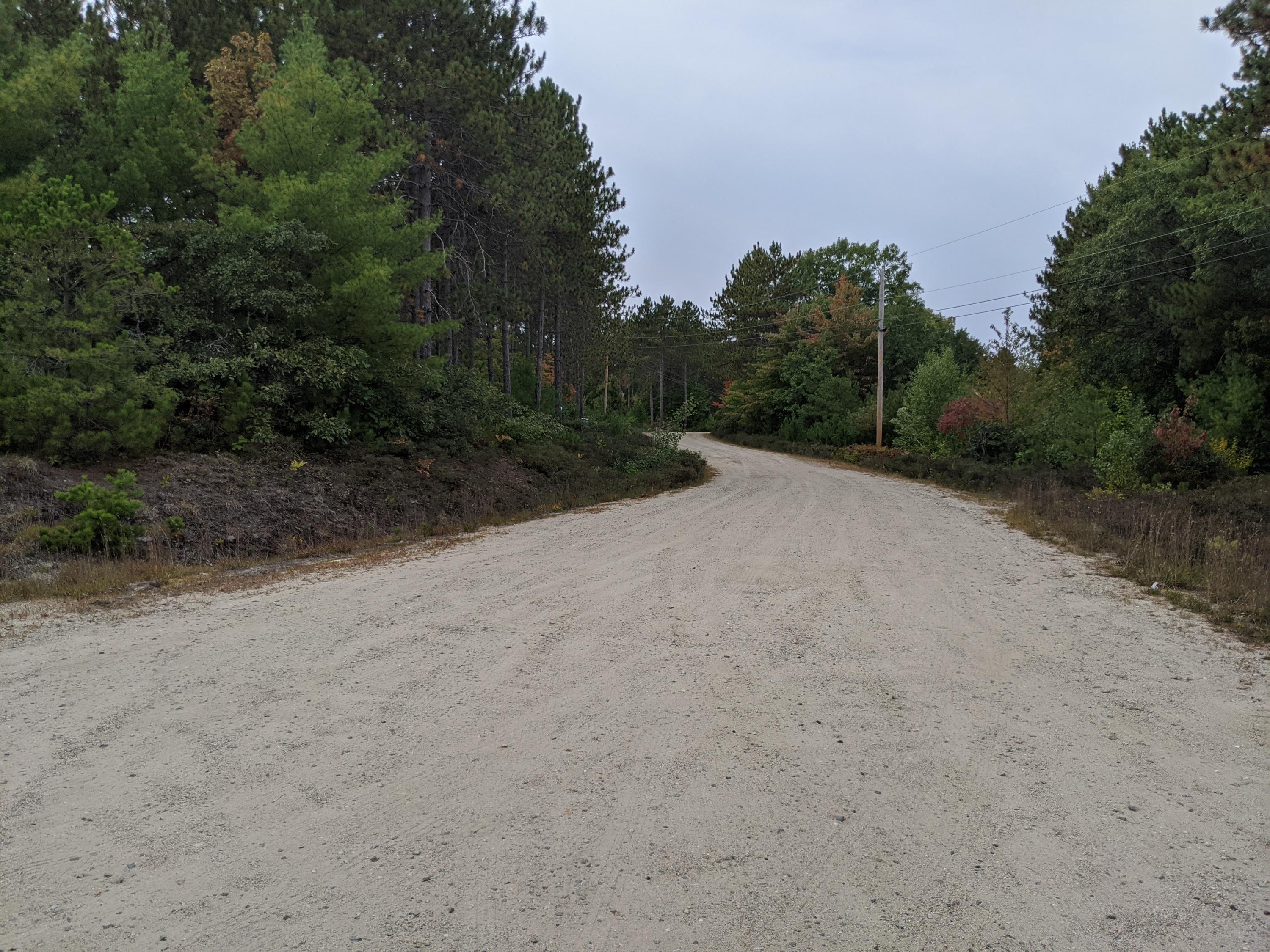Lot 3 Lake Ridge Road West Newfield, ME 04095 - Photo 3 of 4 Road in