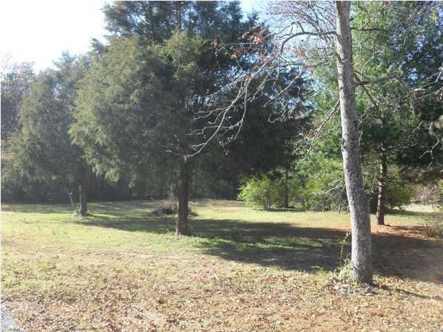 993 Gulch Road Trenton, GA 30752 - Photo 2 of 8 Additional Photo