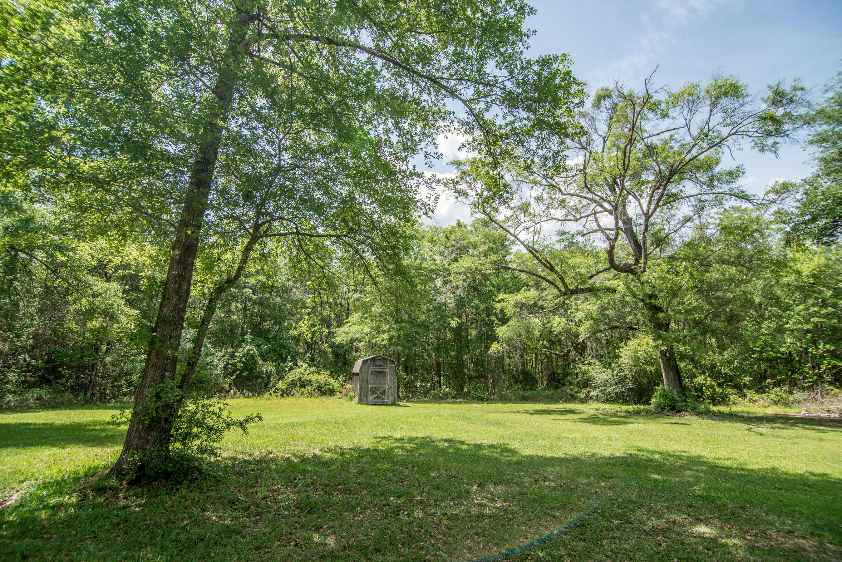 2588 Tram Road Westville, FL 32464 - Photo 29 of 61 Beautiful Oak Trees