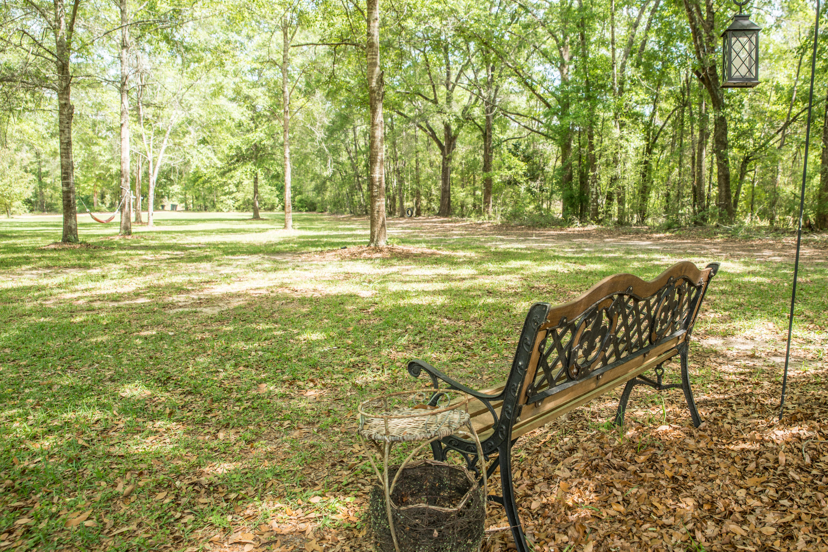 2588 Tram Road Westville, FL 32464 - Photo 36 of 61 Front Yard