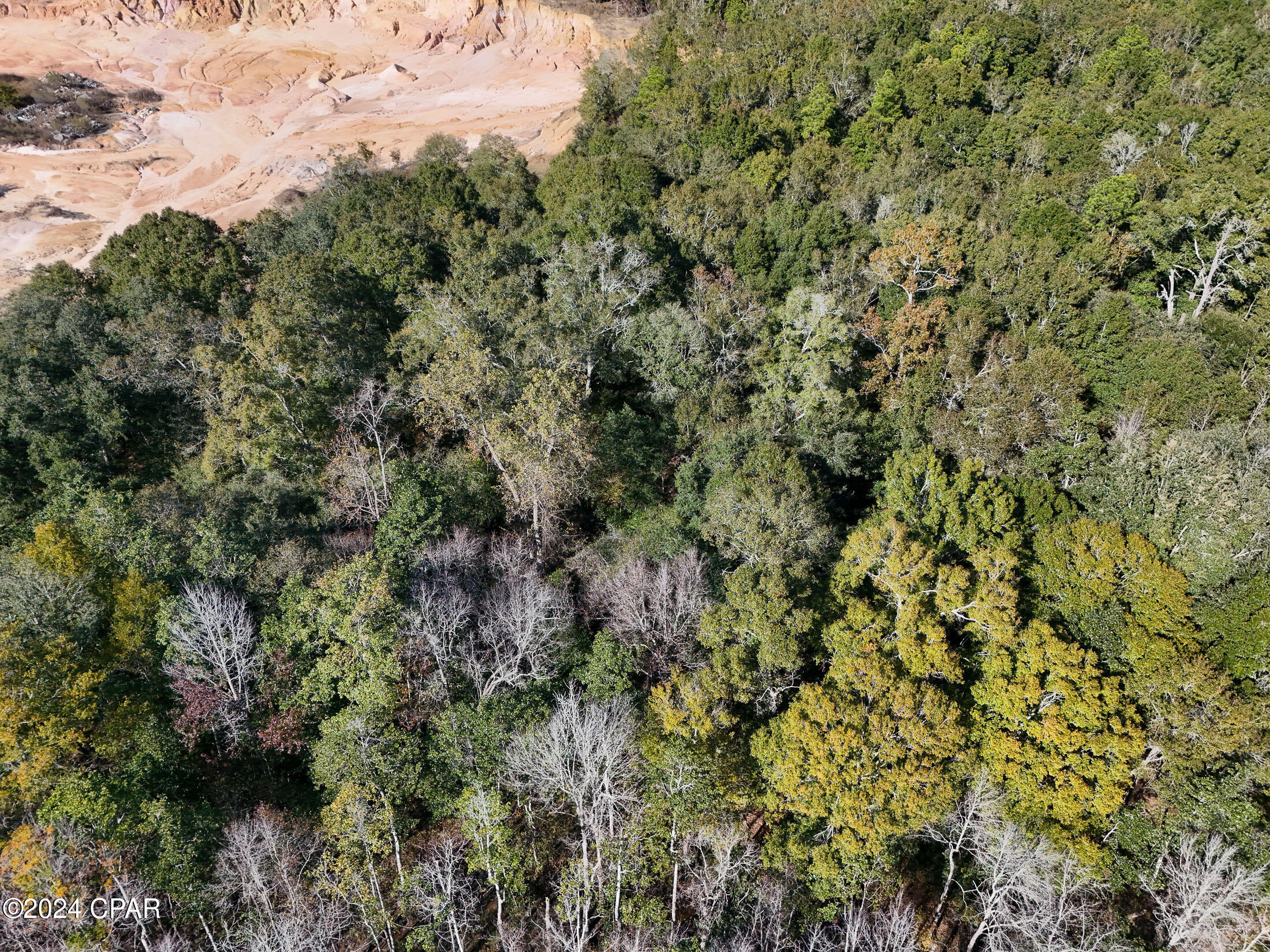 0 Malcolm Taylor Road Bonifay, FL 32425 - Photo 26 of 28