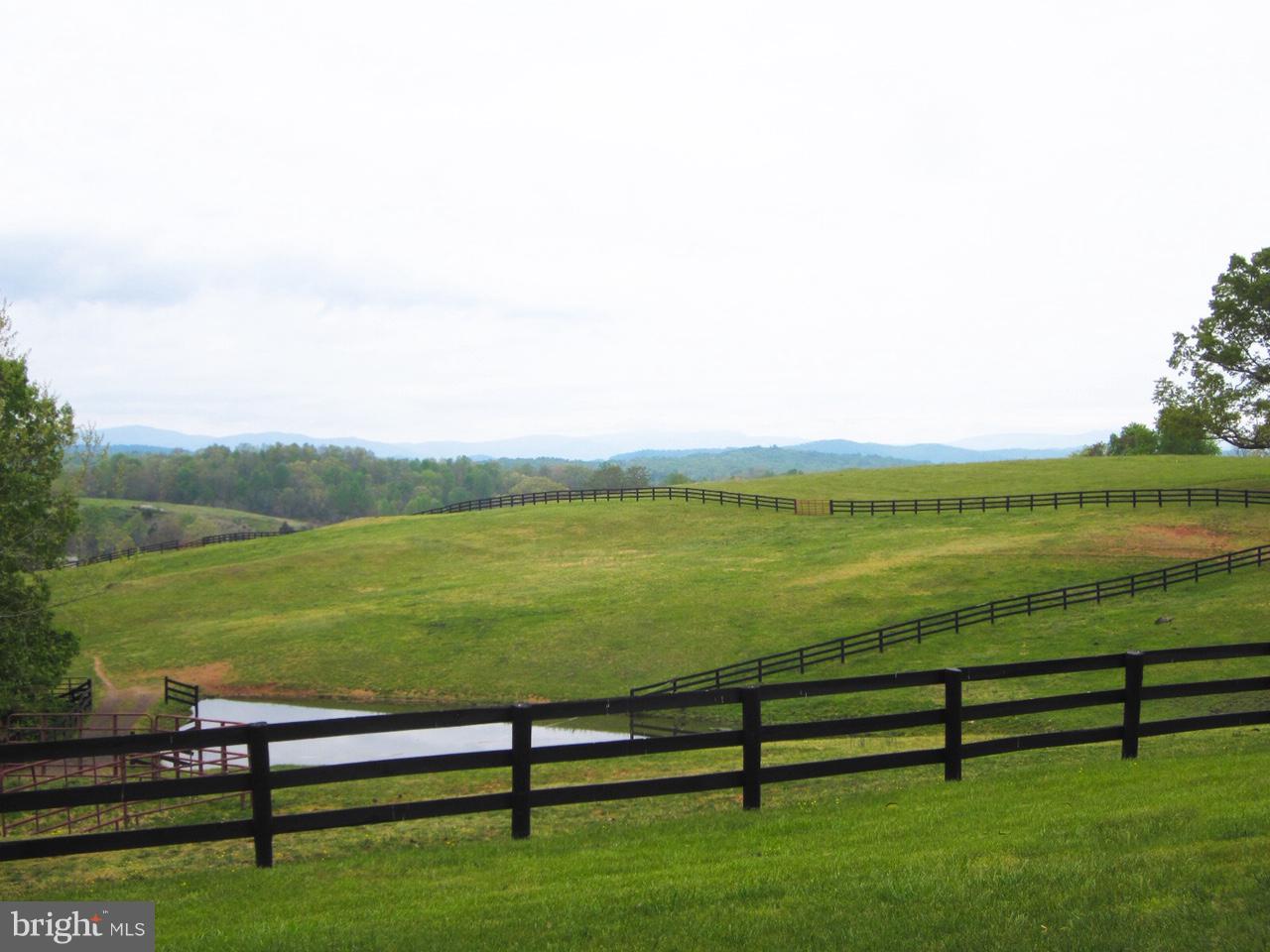 13098 Old Stillhouse Road Boston, VA 22713 - Photo 22 of 28