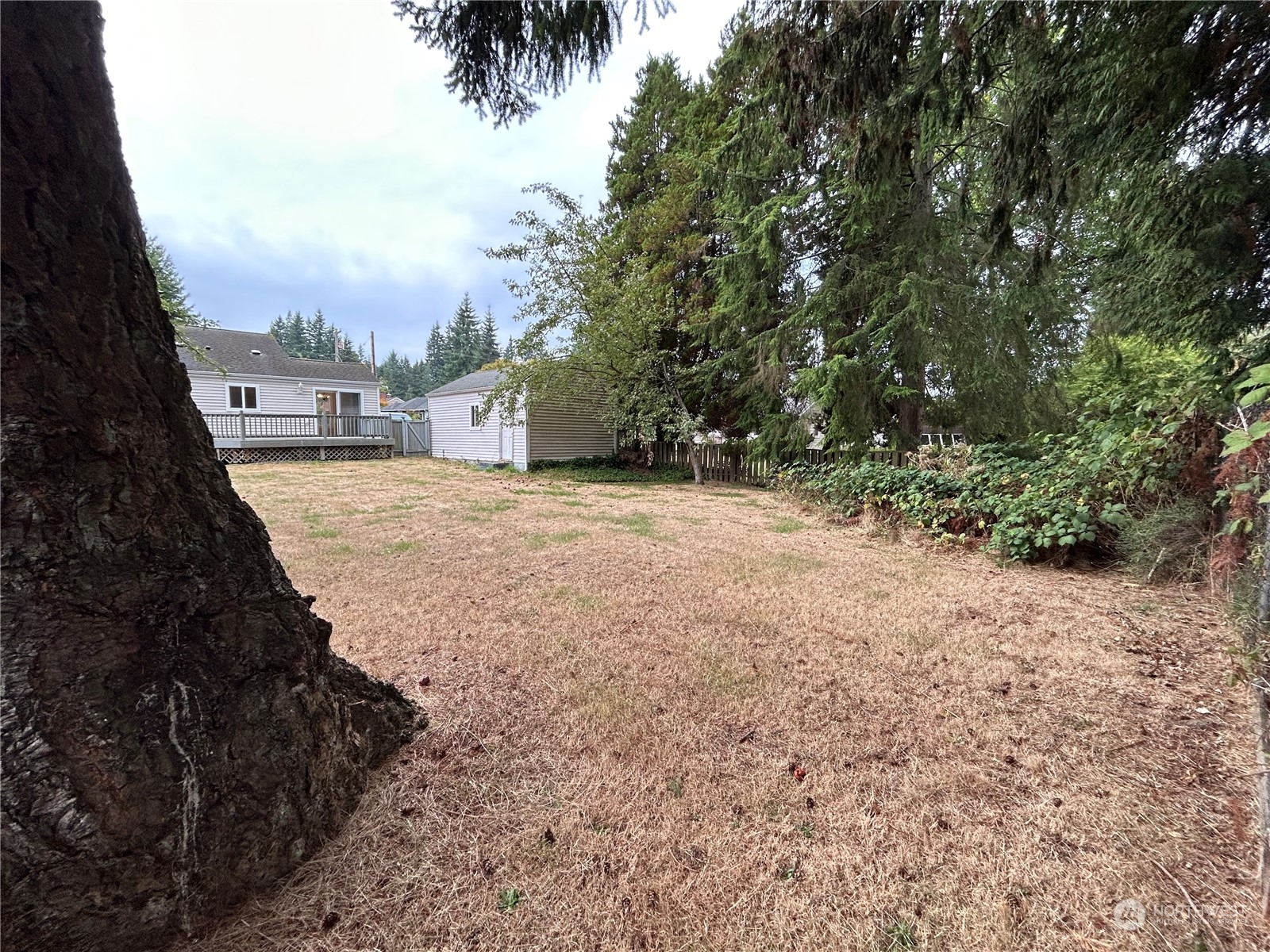 6919 Cady Road Everett, WA 98203 - Photo 23 of 29 a view of an outdoor space and a yard